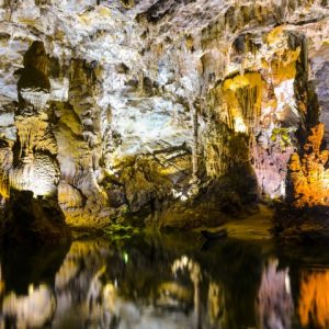 tour động Phong Nha động Tiên Sơn