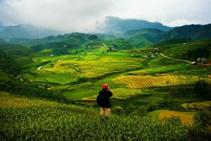 Tour Quảng Bình Lào Cai Sapa