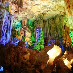 tour ghép động phong nha hàng ngày